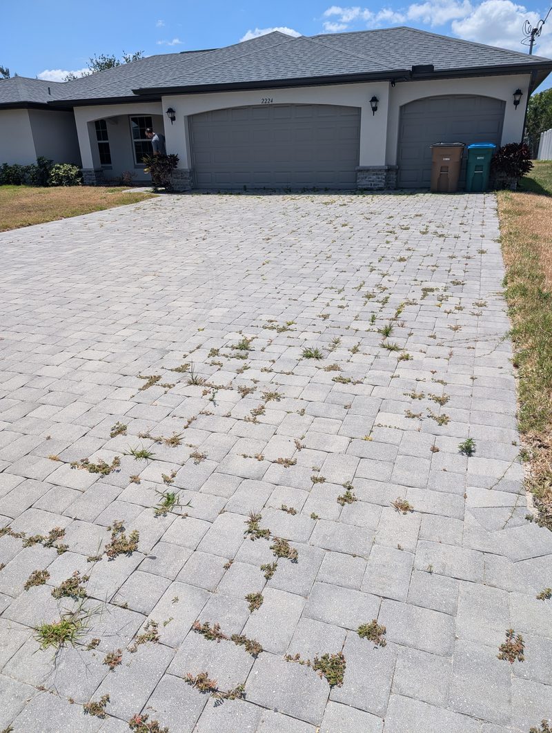 Paver Sealing — Before